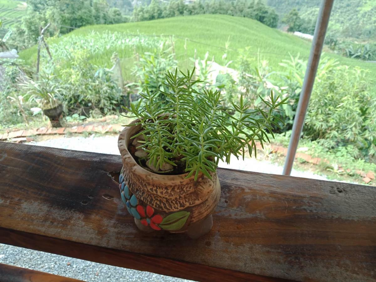 My's Homestay Sa Pa Luaran gambar