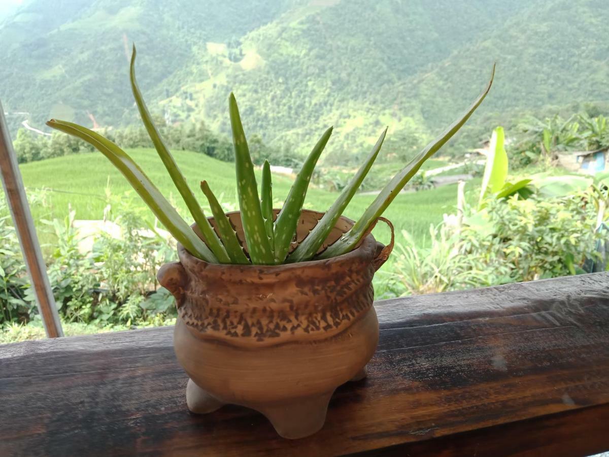 My's Homestay Sa Pa Luaran gambar
